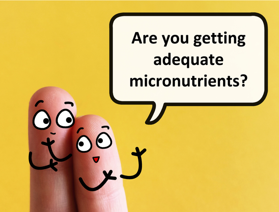 The Mighty Micro