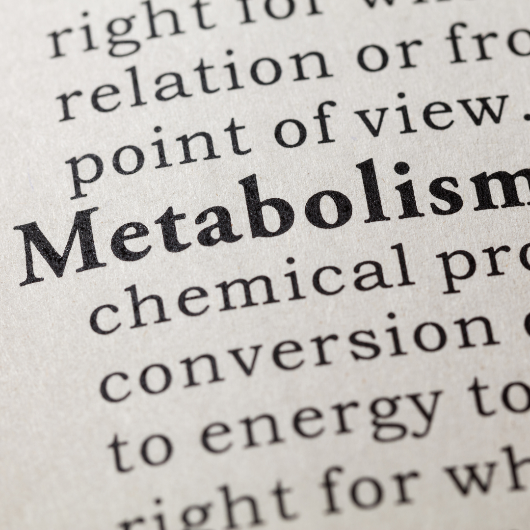 6 Ways That May Speed Up Your Metabolism