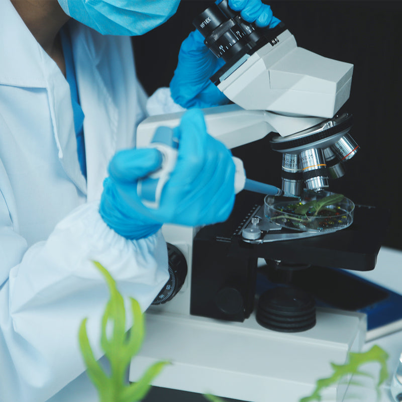 2. Researching What’s Proven