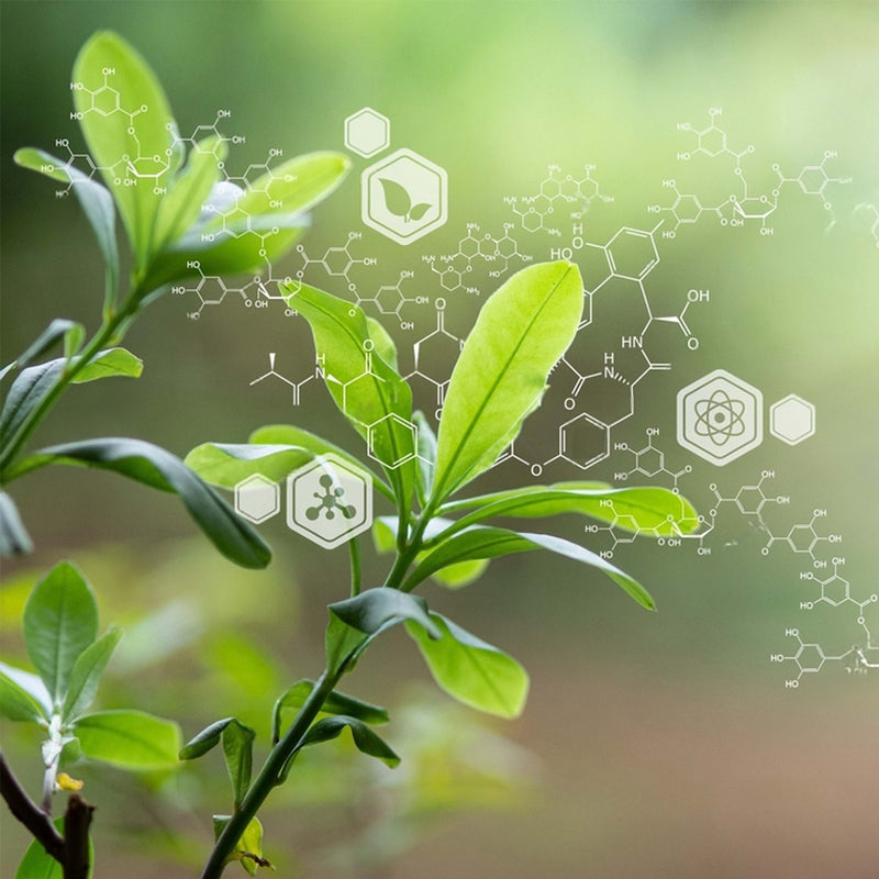 3. Choosing Standardized Extracts