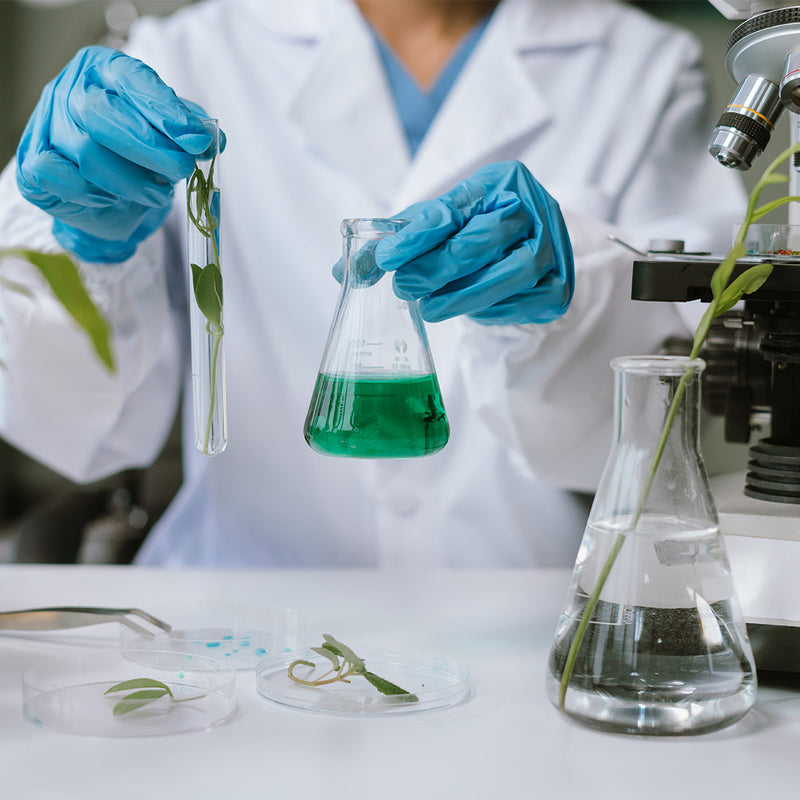 5. Testing for Purity & Performance