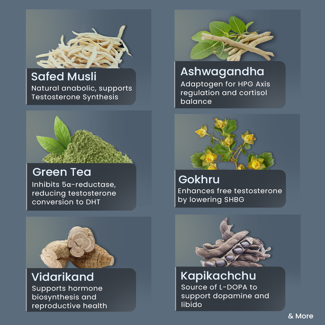 AndroPhy for Wellness