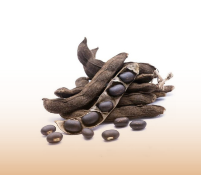 Kapikachhu| Mucuna