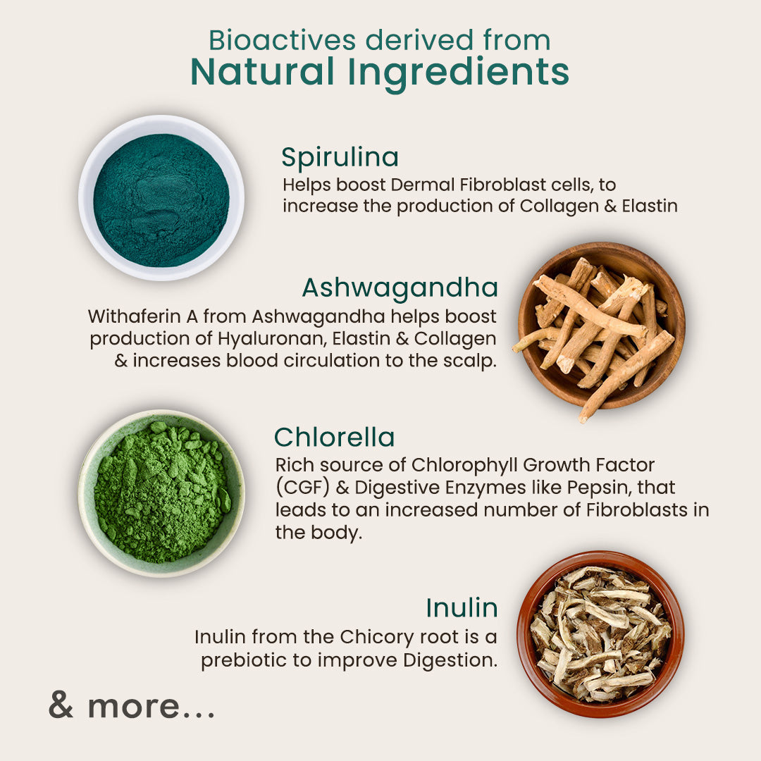 Bioactive ingredients derived from natural sources, showcasing their vibrant colors and textures in a clean, modern setting.