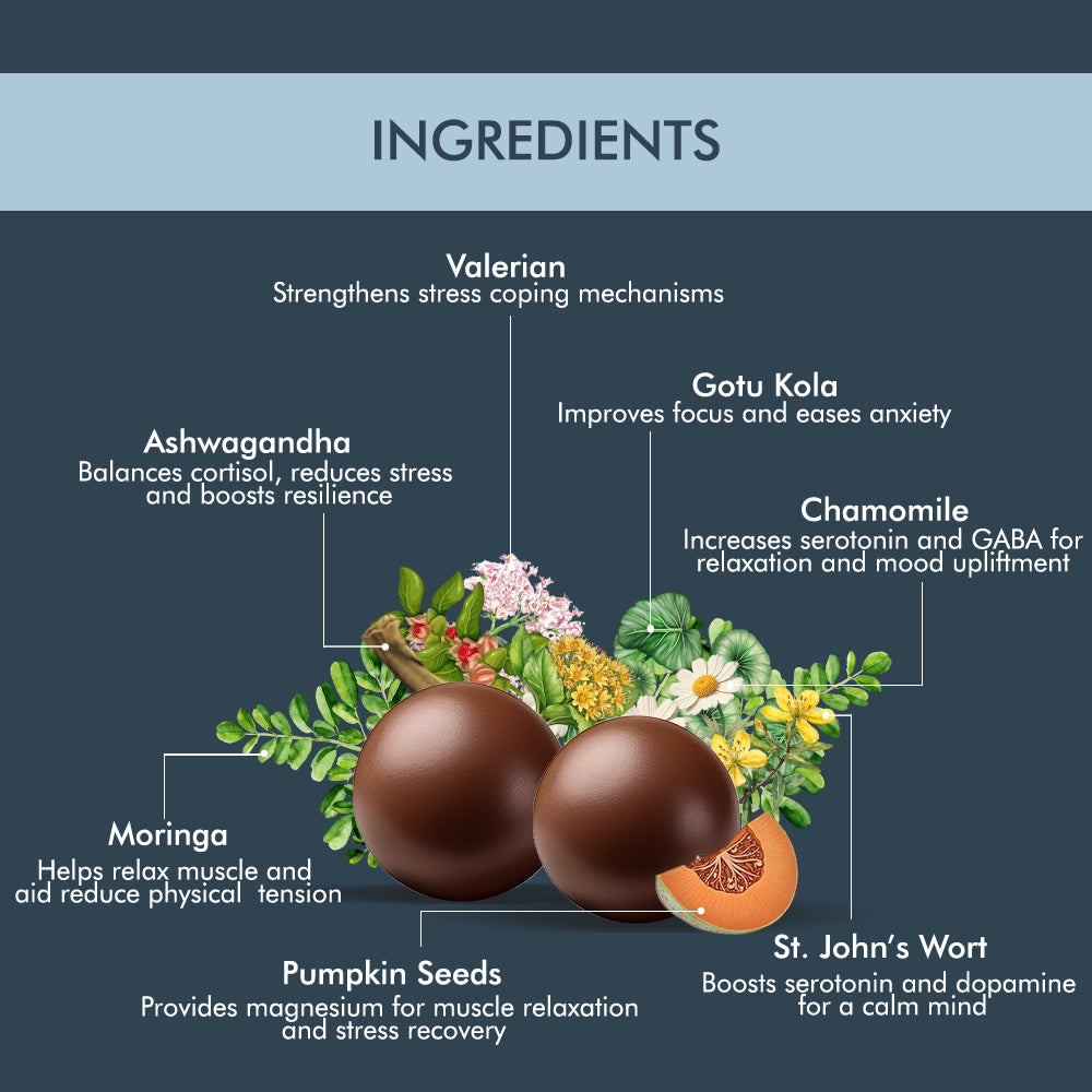 Ingredients for a chocolate bar, including cocoa, sugar, milk, and vanilla, arranged on a wooden surface.