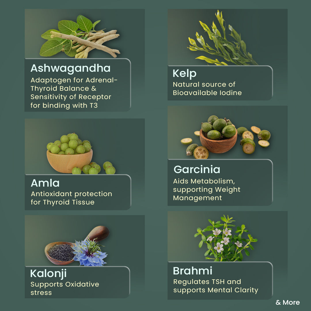 Herbal ingredients on a green background: Ashwagandha, Kelp, Amla, Garcinia, Kalonji, and Brahmi, each with health benefits listed