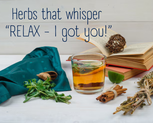 Nature’s Chill Pills: Herbs for Instant Relaxation
