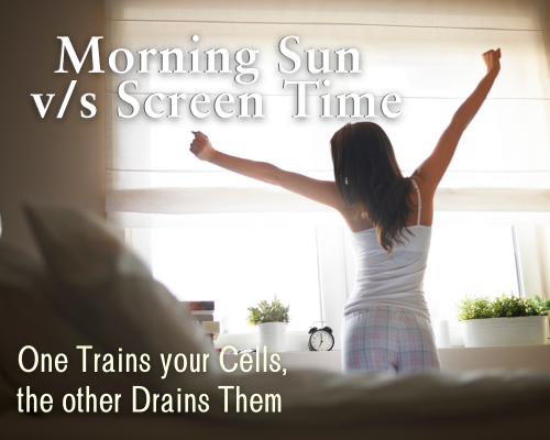 Morning Sunlight vs. Screen Time: One Trains Your Cells, the Other Drains Them