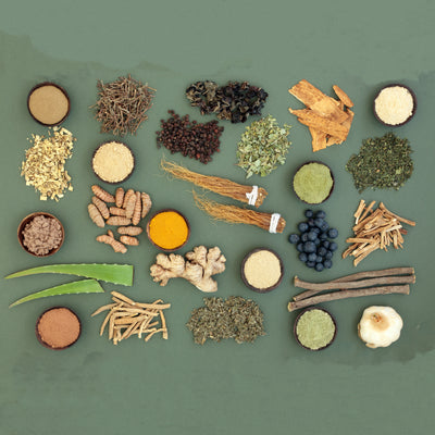 The No BS Guide To Adaptogens