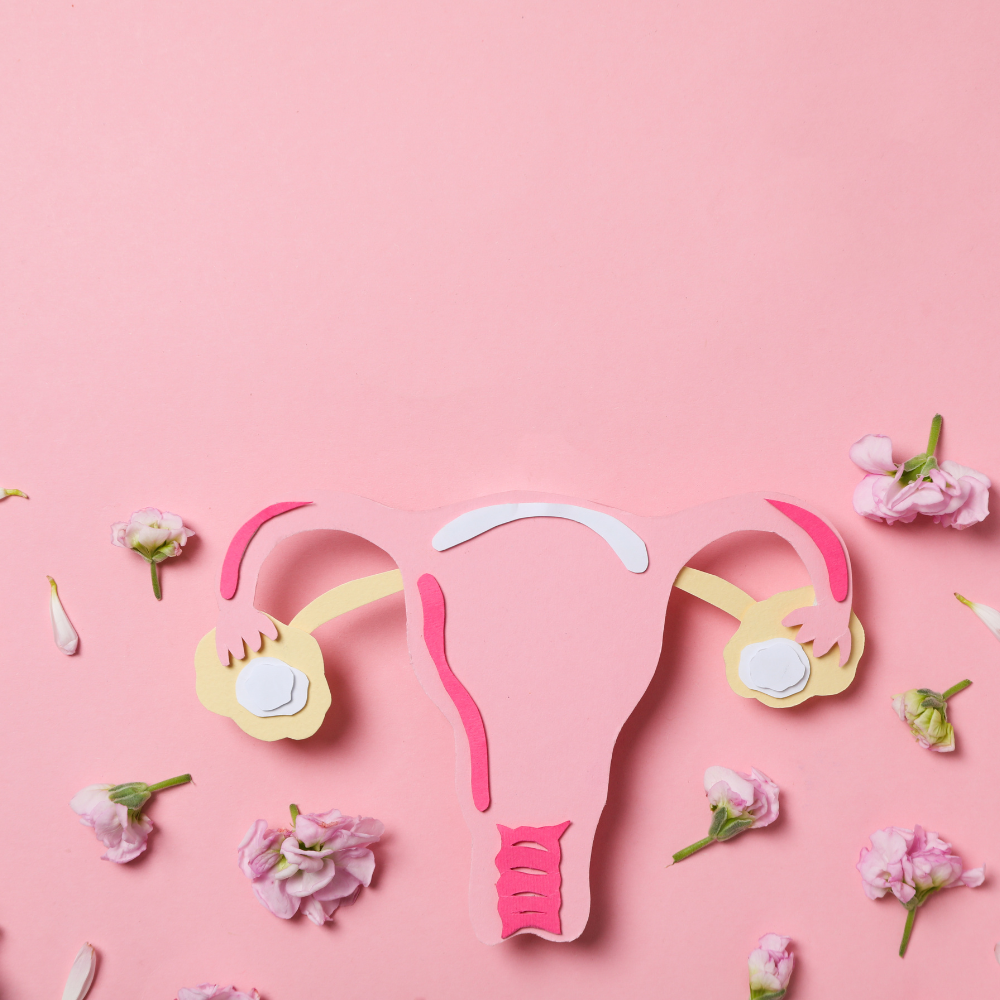 Balancing Health with Phytoestrogen-Rich Foods: Benefits and List