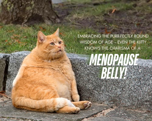 Menopause Belly: Understanding and Tackling the Middle(age) Bulge