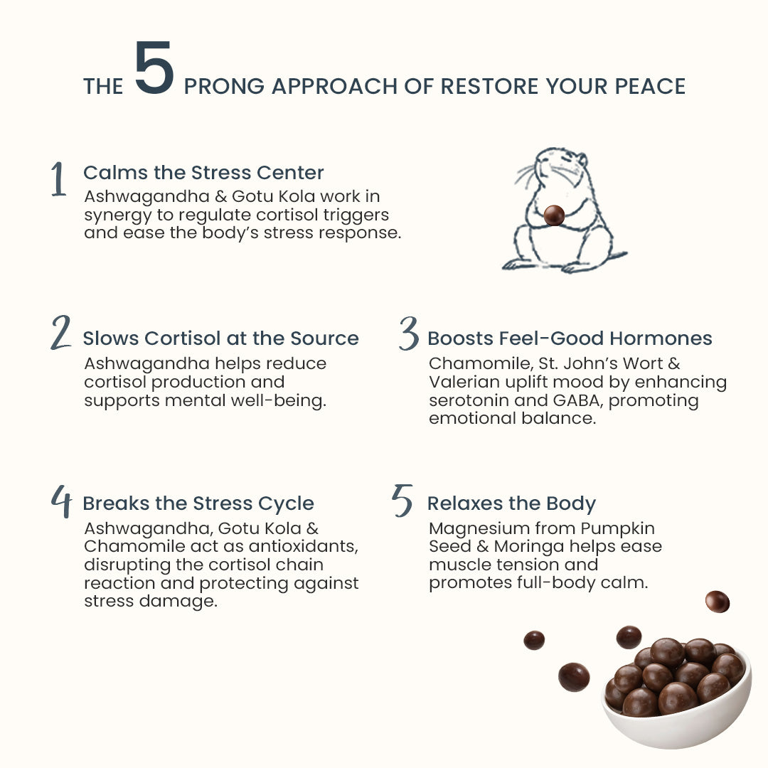 Restore your Peace