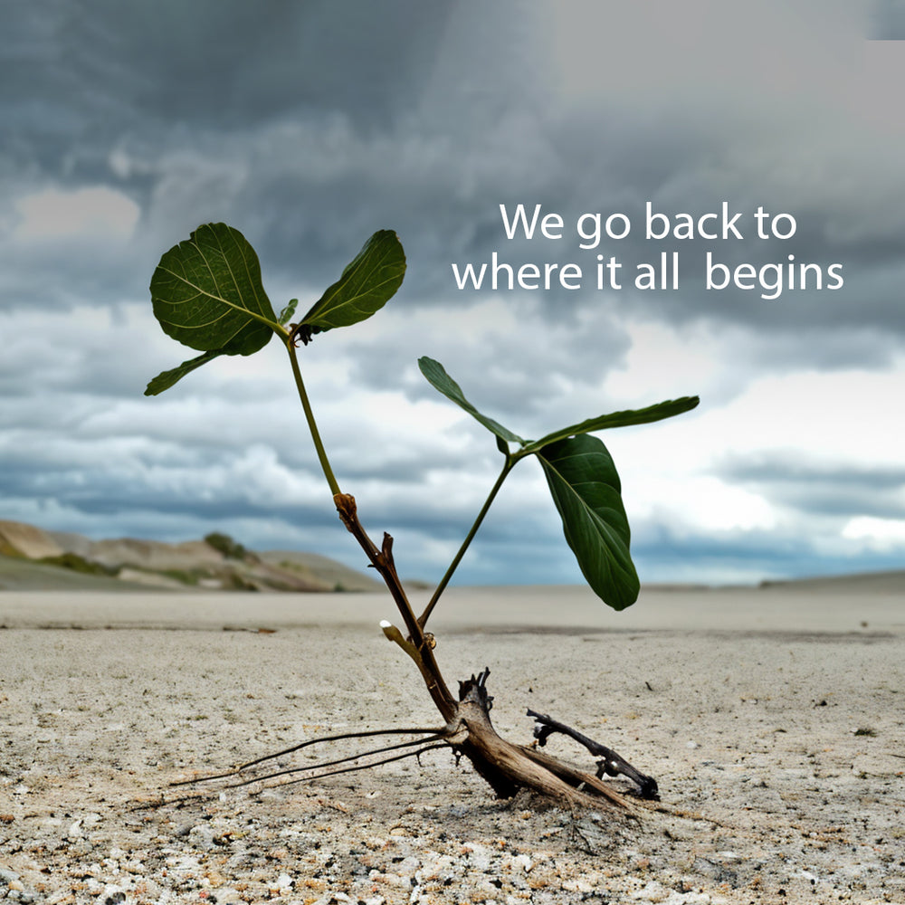 Root Cause First